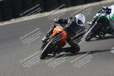 media/Oct-12-2025-CRA (Sun) [[e621380112]]/Races/Race 10/